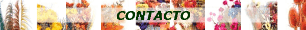 CONTACTO