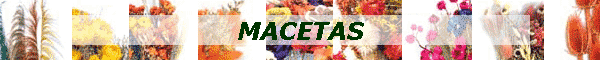 MACETAS